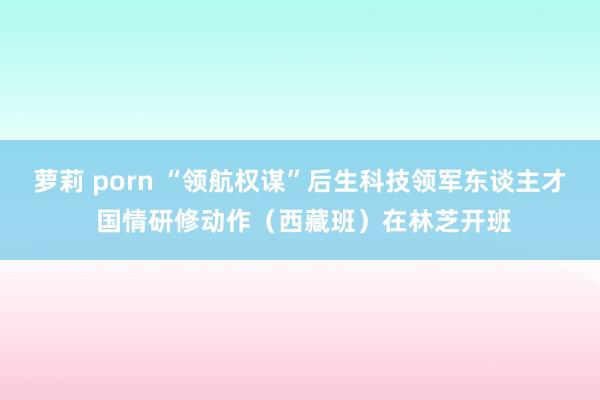 萝莉 porn “领航权谋”后生科技领军东谈主才 国情研修动作（西藏班）在林芝开班