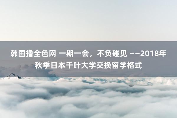 韩国撸全色网 一期一会，不负碰见 ——2018年秋季日本千叶大学交换留学格式