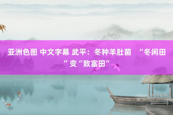 亚洲色图 中文字幕 武平：冬种羊肚菌   “冬闲田”变“致富田”