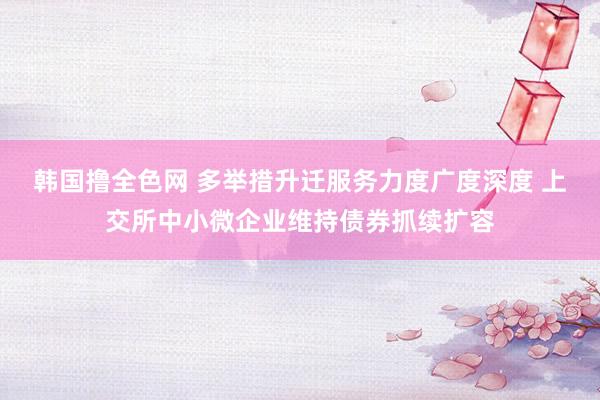 韩国撸全色网 多举措升迁服务力度广度深度 上交所中小微企业维持债券抓续扩容
