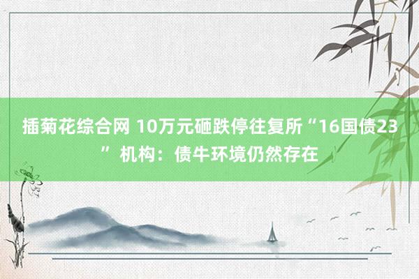 插菊花综合网 10万元砸跌停往复所“16国债23” 机构：债牛环境仍然存在