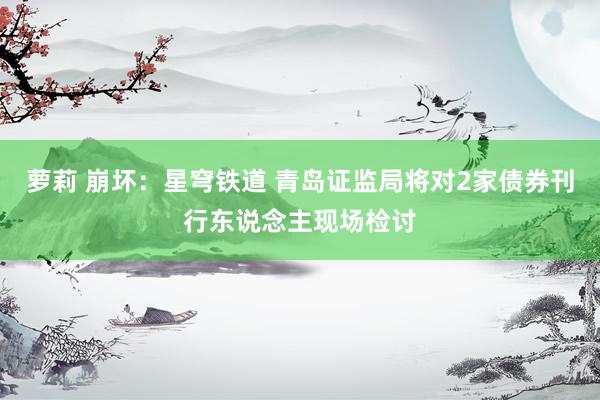 萝莉 崩坏：星穹铁道 青岛证监局将对2家债券刊行东说念主现场检讨