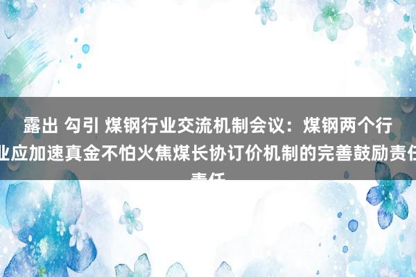 露出 勾引 煤钢行业交流机制会议：煤钢两个行业应加速真金不怕火焦煤长协订价机制的完善鼓励责任