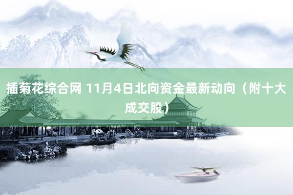 插菊花综合网 11月4日北向资金最新动向（附十大成交股）
