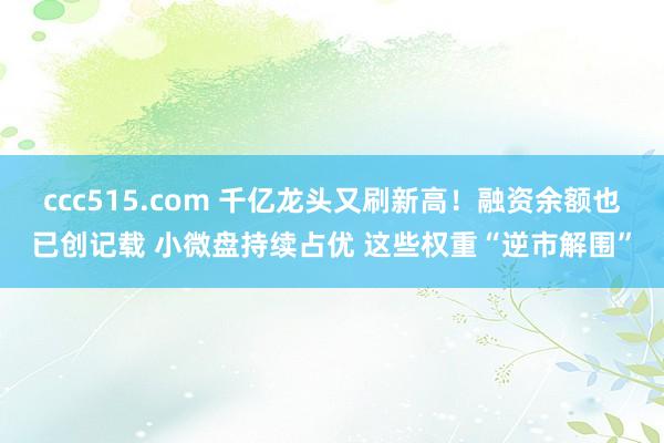 ccc515.com 千亿龙头又刷新高！融资余额也已创记载 小微盘持续占优 这些权重“逆市解围”