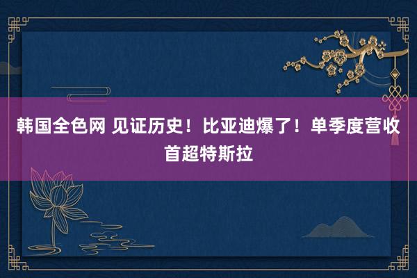 韩国全色网 见证历史！比亚迪爆了！单季度营收首超特斯拉