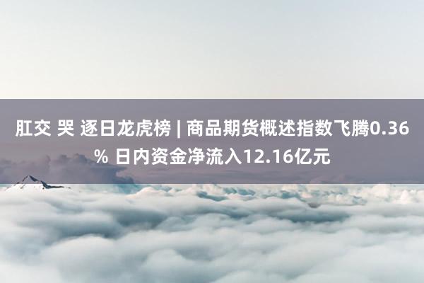 肛交 哭 逐日龙虎榜 | 商品期货概述指数飞腾0.36% 日内资金净流入12.16亿元